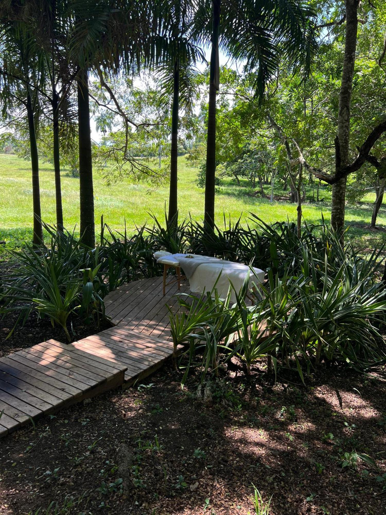 Oya - Wellness Eco Resort & Retreat Jamao al Norte 외부 사진